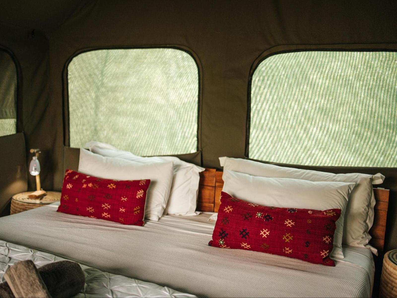 Bushveld Bivouac Private Camp Leilighet Mica Rom bilde