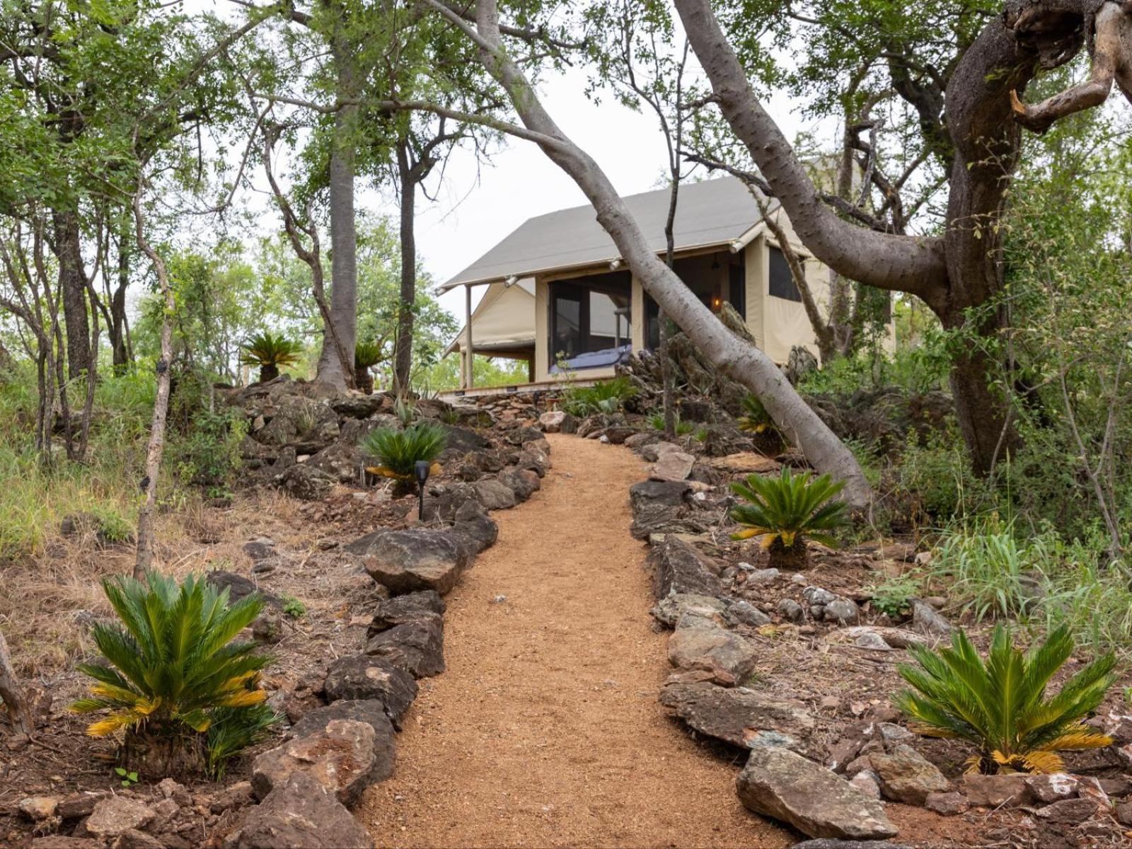Bushveld Bivouac Private Camp Leilighet Mica Rom bilde